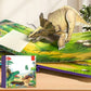 ✨Gyerek 3D Pop-Up állatos könyv - Interaktív korai tanuláshoz nélkülözhetetlen📚