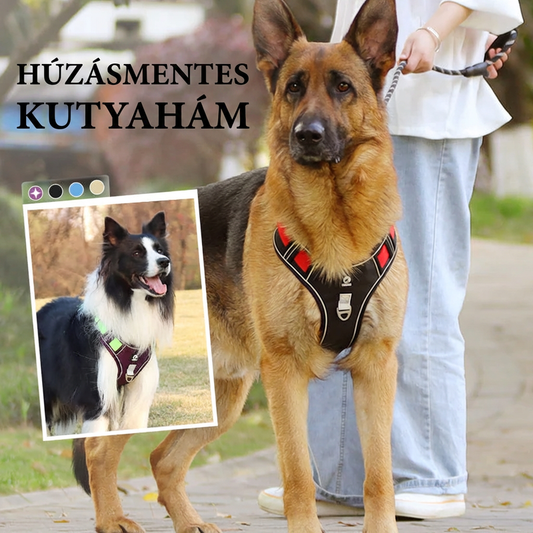🦮 Húzásgátló kutyahám pórázzal és nyakörvvel, LED-es